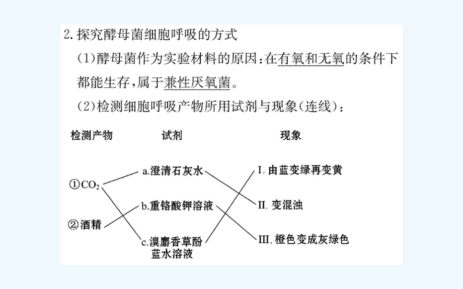 人教高中生物必修一课件：第5章 第3节 ATP的主要来源—细胞呼吸 .ppt_第4页