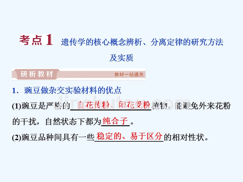 优化方案高考生物一轮复习课件：第15讲 基因的分离定律 .ppt_第4页