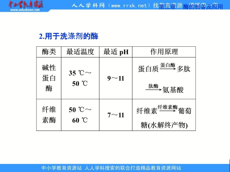 中图版选修1第三章第3节《加酶洗衣粉的洗涤条件》ppt课件.ppt_第4页