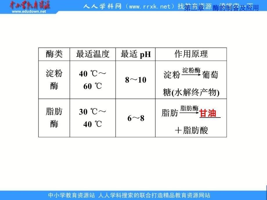 中图版选修1第三章第3节《加酶洗衣粉的洗涤条件》ppt课件.ppt_第5页