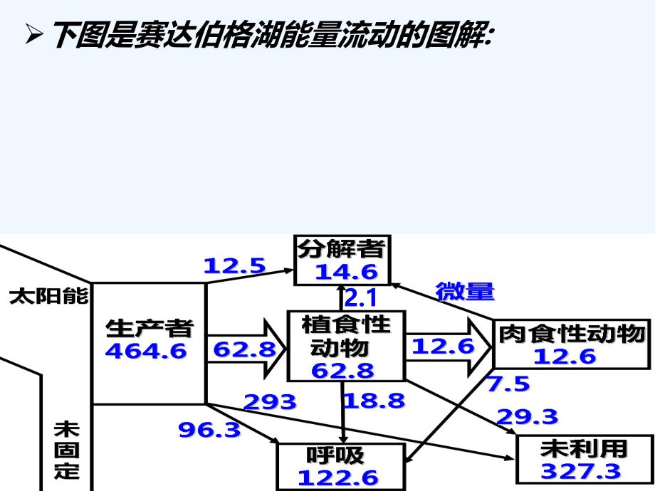 人教高中生物必修三5.2 生态系统的能量流动 课件.ppt_第2页