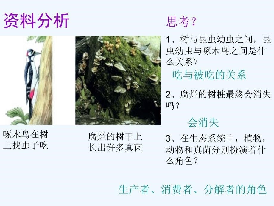 人教版生物七年级上册1.2.2《生物与环境组成生态系统》ppt课件.ppt_第5页