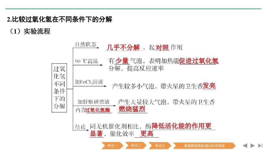 新高考生物（人教全国Ⅰ）复习课件：必修一第三单元 细胞的能量供应与利用 第7讲 .pptx_第5页