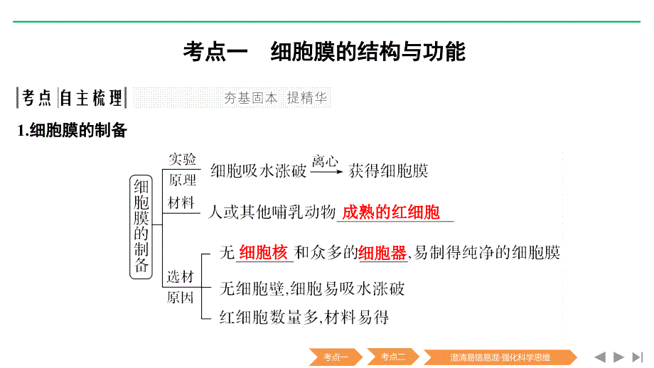 新高考生物（人教全国Ⅰ）复习课件：必修一第二单元细胞的基本结构与物质运输 第4讲 .pptx_第3页