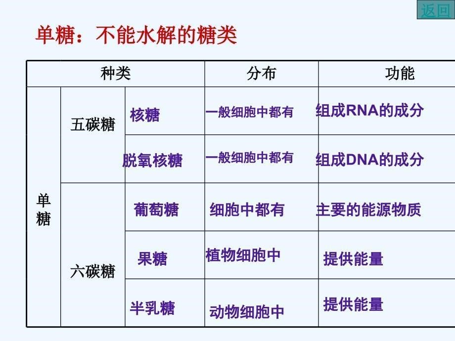 人教版必修一2.4《细胞中的糖类和脂质》ppt课件1.ppt_第5页