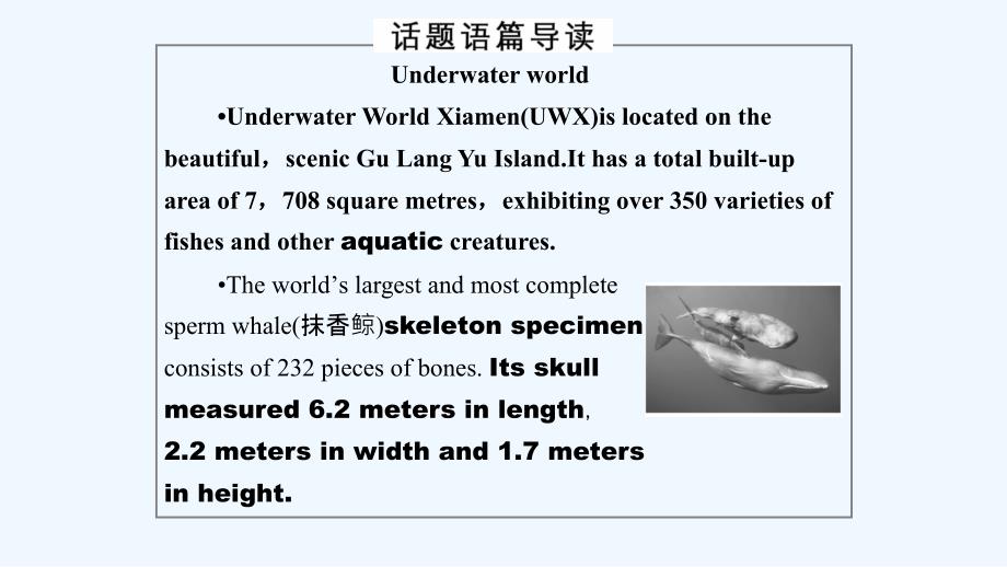 新课堂英语选修七人教课件：Unit 3-1 .ppt_第2页