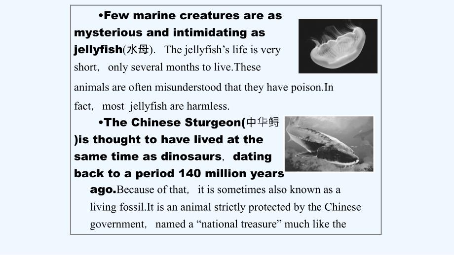 新课堂英语选修七人教课件：Unit 3-1 .ppt_第3页