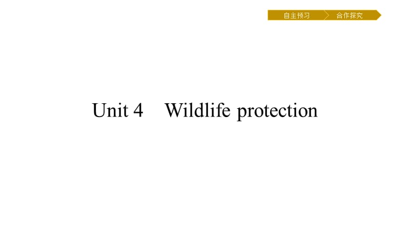 新学案英语人教必修二课件：4.1 .pptx_第1页