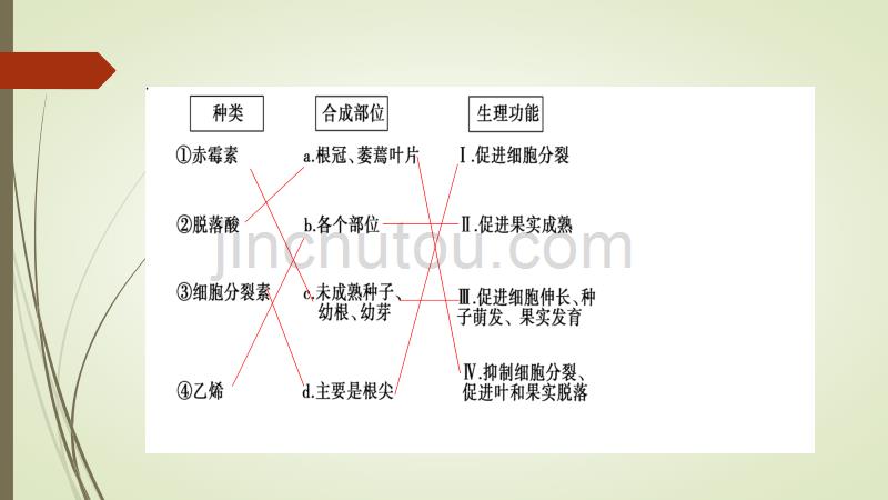 江苏省高中生物必修3 3.3其他植物激素 三段四环公开课 课件.pptx_第4页