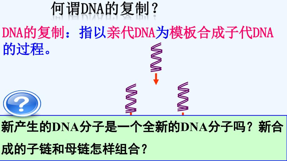 人教版必修二第3节《DNA的复制》ppt课件1.ppt_第4页