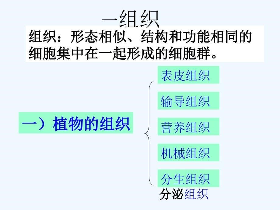 华师大版科学七下《组织、器官系统》ppt课件.ppt_第5页