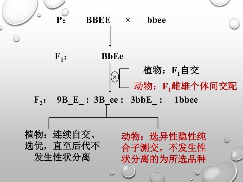 生物浙科必修2课件2：4.2 生物变异在生产上的应用 .pptx_第5页