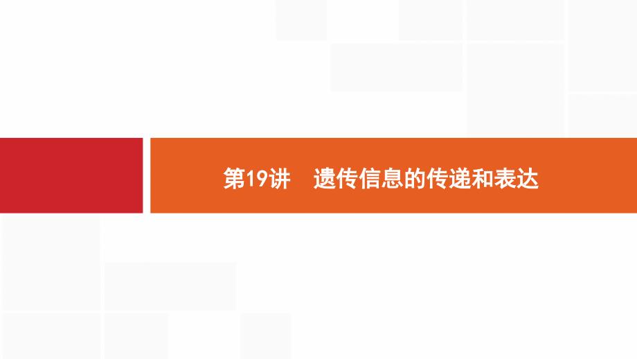 生物新优化浙江大一轮课件：第六部分 遗传的分子基础 19 .pptx_第1页