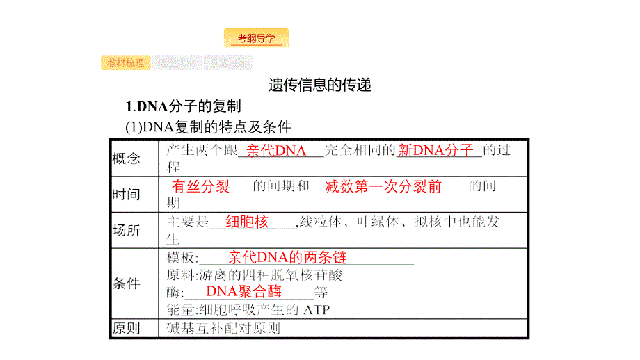 生物新优化浙江大一轮课件：第六部分 遗传的分子基础 19 .pptx_第3页