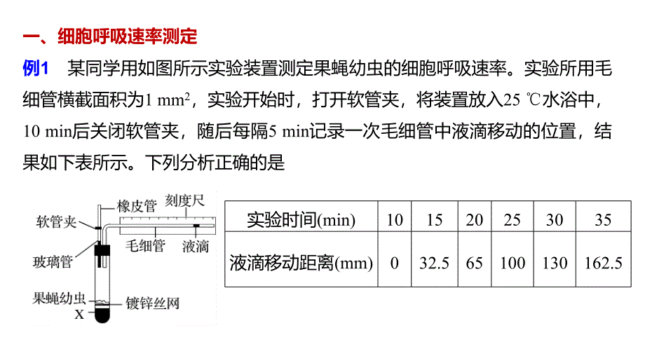 生物新导学大一轮苏教（江苏专用）课件：第三单元 光合作用和细胞呼吸 热点题型二 .pptx_第2页