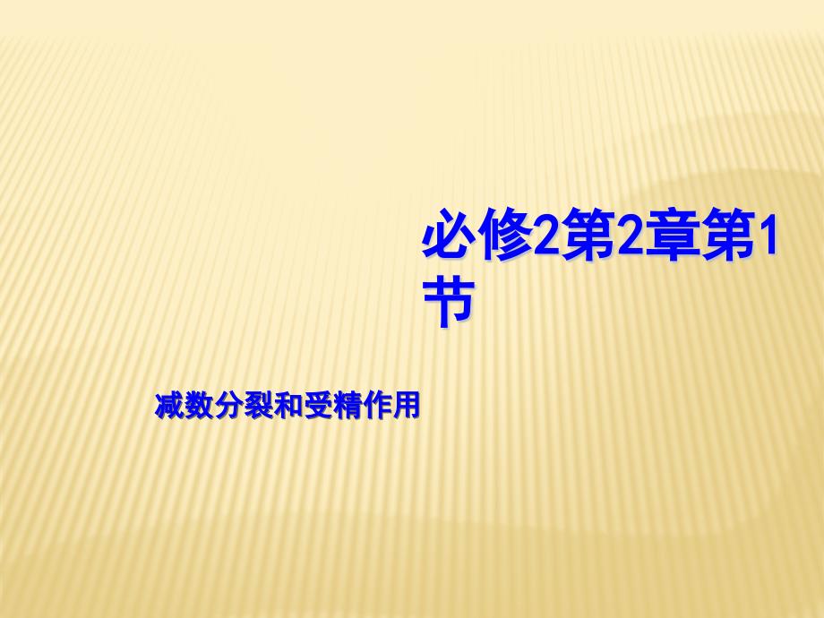 高三生物课堂同步提升复习课件35(必修2第2章第1节_减数分裂和受精作用)_第1页