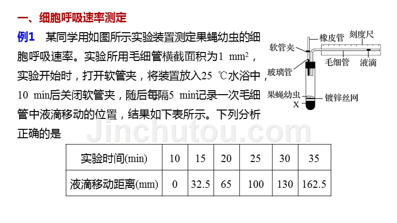 生物新导学大一轮人教通用课件：第三单元 细胞的能量供应和利用 热点题型二 .pptx_第2页