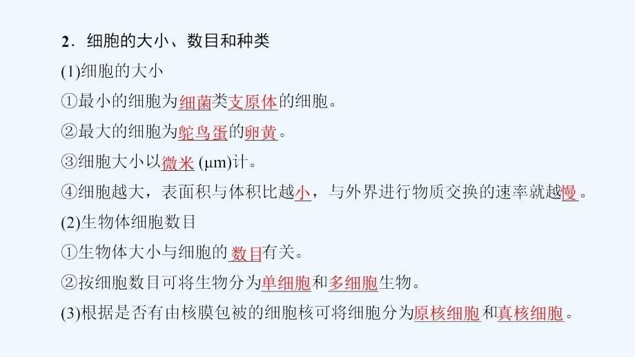 课堂讲义同步系列高中生物浙科必修一课件：第2章 第1节 细胞概述 .ppt_第5页