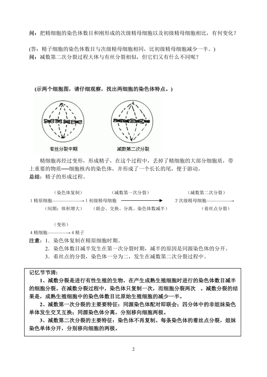 减数分裂和受精作用（第一课时）教案_第3页