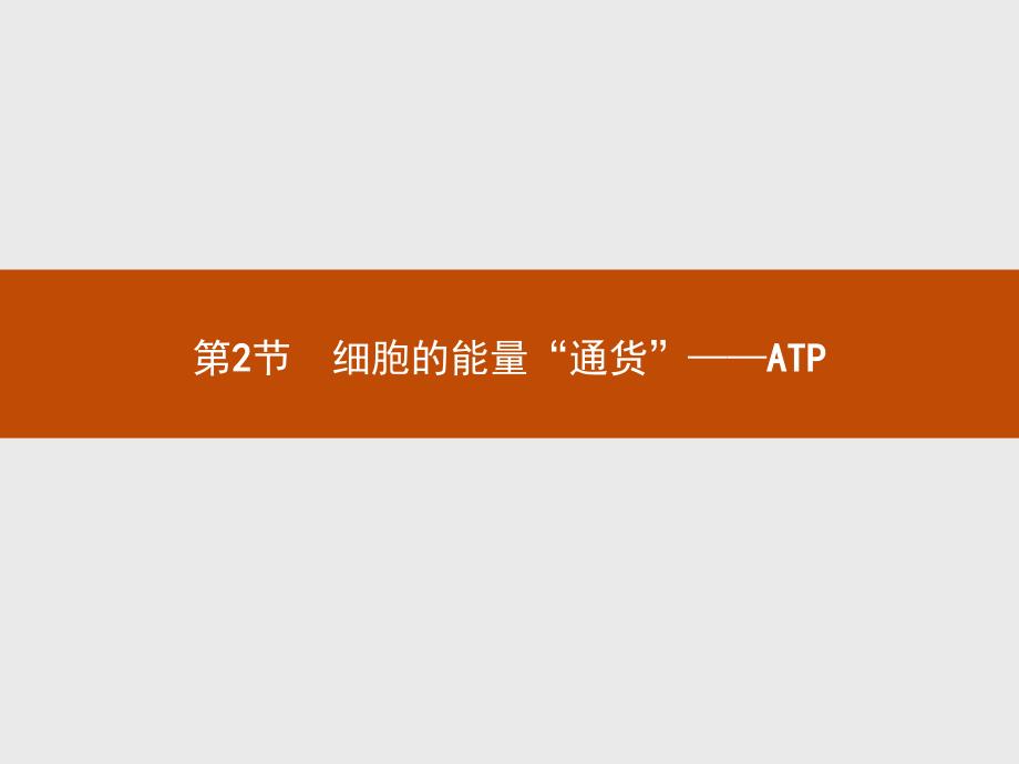 高中生物人教必修一同步课件：5.2细胞的能量“通货”——ATP .pptx_第1页