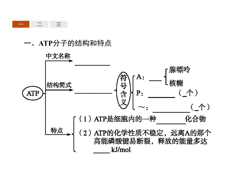 高中生物人教必修一同步课件：5.2细胞的能量“通货”——ATP .pptx_第3页