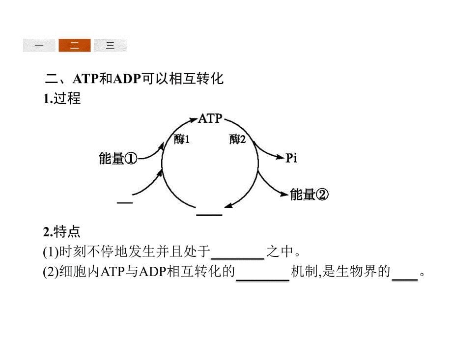 高中生物人教必修一同步课件：5.2细胞的能量“通货”——ATP .pptx_第5页