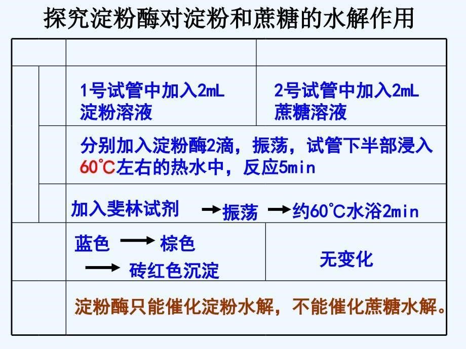 人教高中生物必修一：5.1.1 二 酶的特性课件 .ppt_第5页