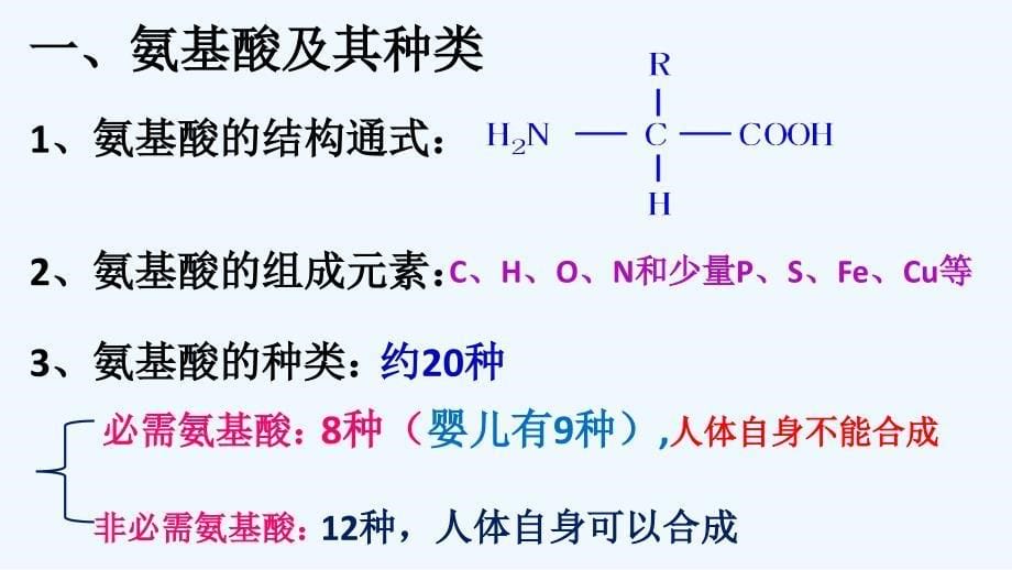 陕西省蓝田县城关中学人教高一生物必修一课件：第二章第2节生命活动的主要承担者2 .ppt_第5页