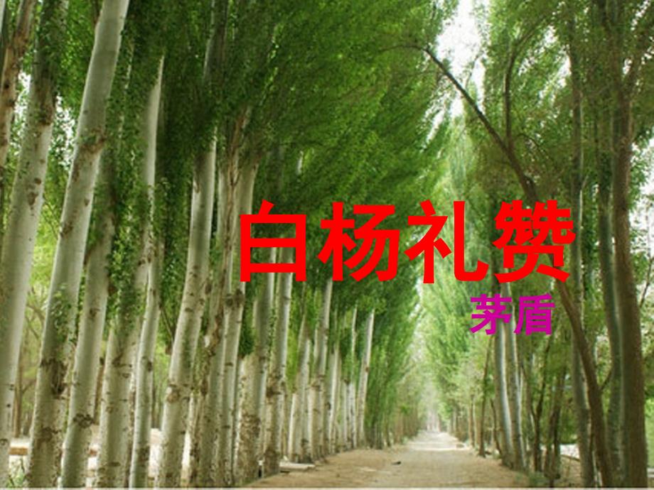 《白杨礼赞》教学PPT课件 【部编版统编教材 人教版初中八年级语文上册】公开课课件 (15)_第1页