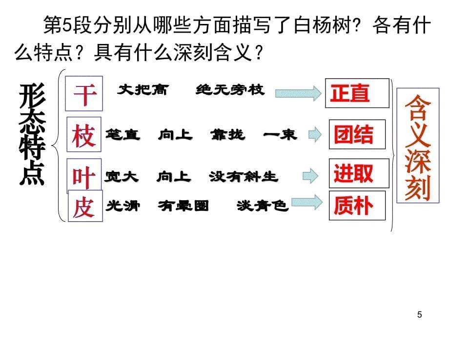 《白杨礼赞》教学PPT课件 【部编版统编教材 人教版初中八年级语文上册】公开课课件 (15)_第5页