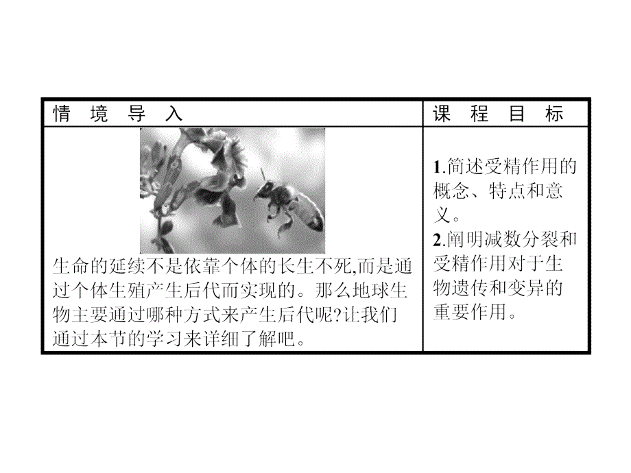 高中生物苏教必修二课件：2.2 有性生殖 .pptx_第2页