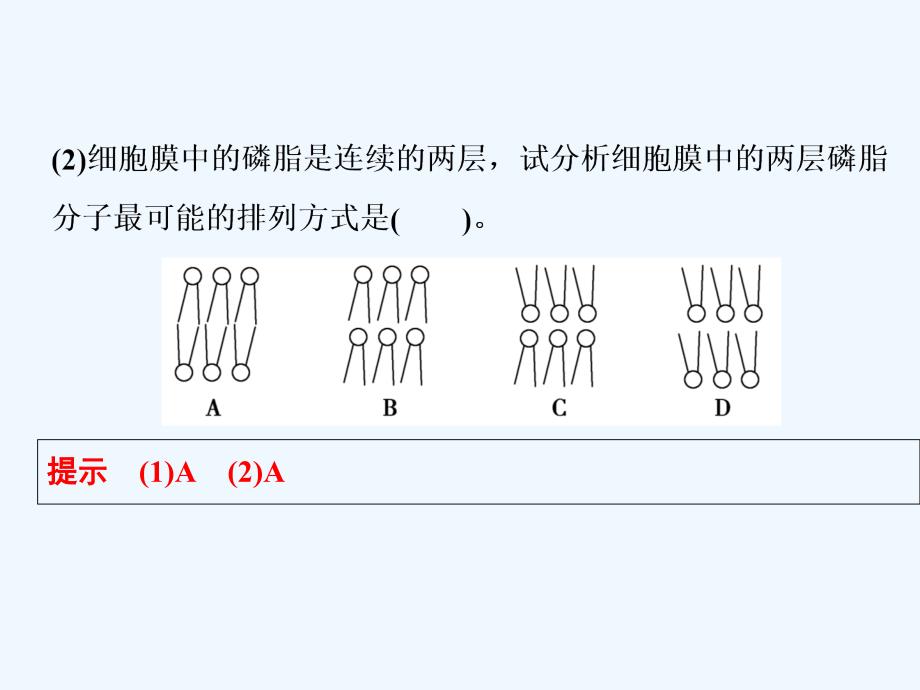 甘肃省武威第十八中学高一生物必修一教学课件：4.2 生物膜的流动镶嵌模型 练习 .ppt_第3页