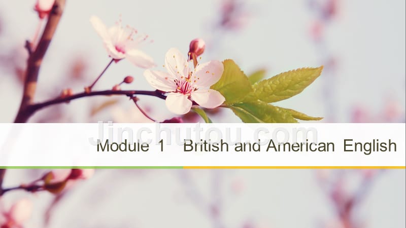 英语新导学同步外研必修五通用课件：Module 1 Period One .pptx_第1页