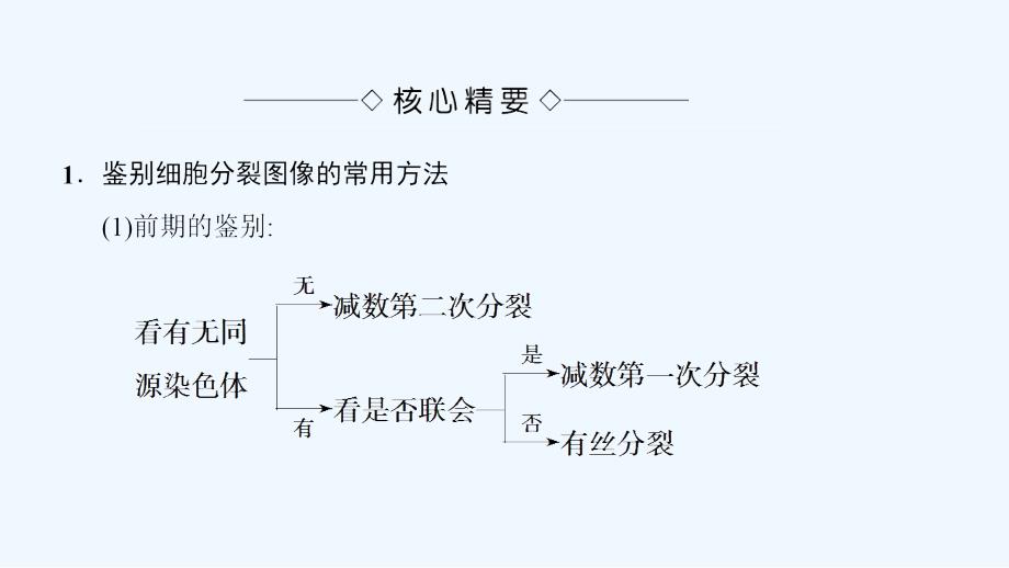 高中课堂新坐标生物人教必修二同步课件：第2章 微专题突破 细胞分裂图像的判别 .ppt_第2页