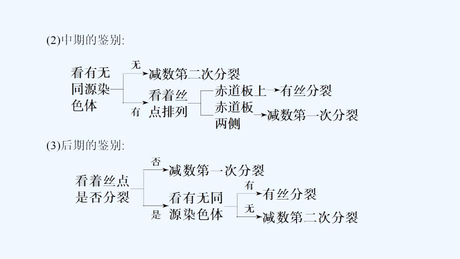 高中课堂新坐标生物人教必修二同步课件：第2章 微专题突破 细胞分裂图像的判别 .ppt_第3页