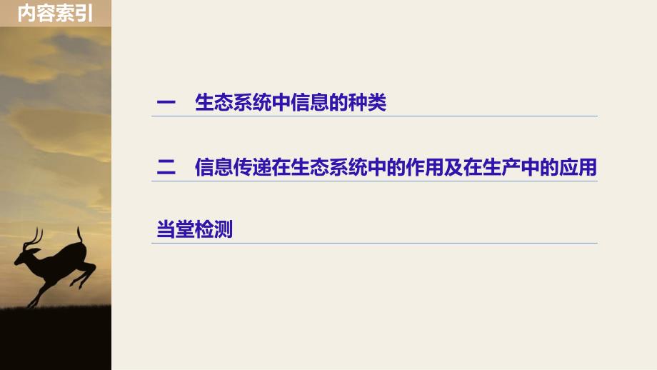 生物新学案同步必修三人教全国通用课件：第5章 生态系统及其稳定性 第4节 .pptx_第4页