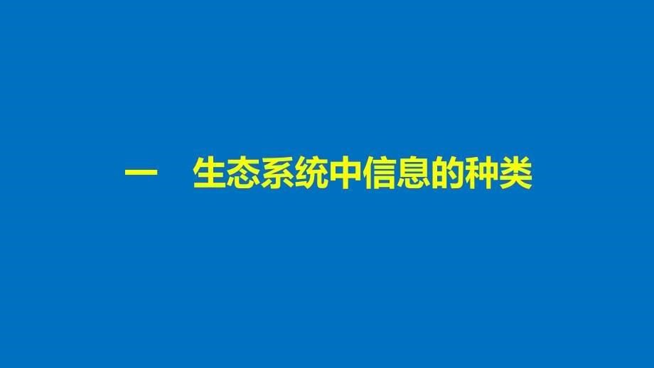 生物新学案同步必修三人教全国通用课件：第5章 生态系统及其稳定性 第4节 .pptx_第5页