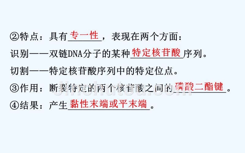 高三生物人教一轮复习课件：选修3.1基因工程 .ppt_第5页