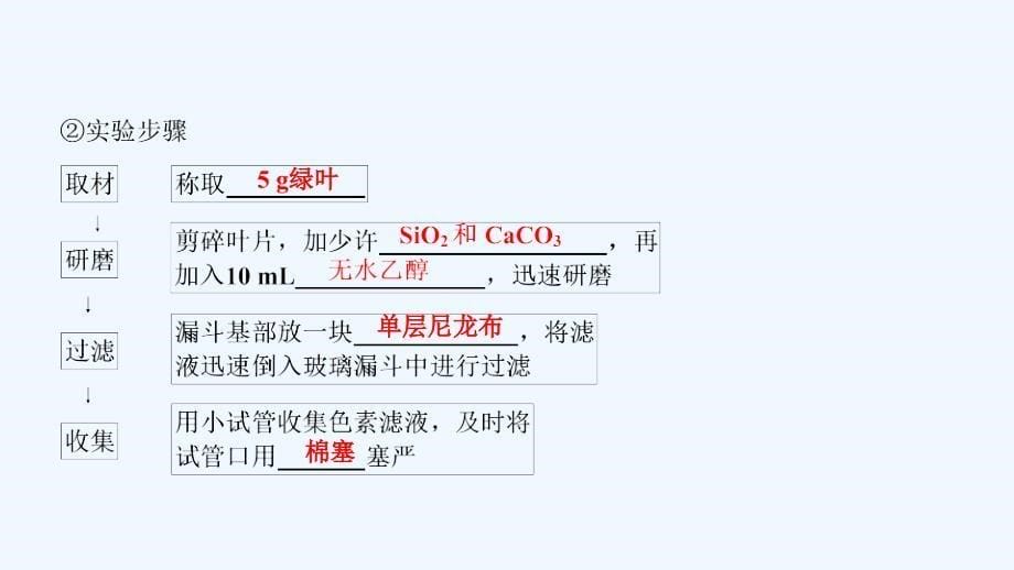 生物人教必修一优化课件：第5章 第4节 第1课时　捕获光能的色素和结构 .ppt_第5页