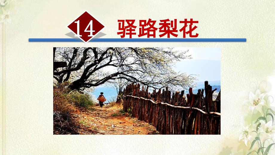 14《驿路梨花》教学PPT课件 【部编版人教版初中七年级语文下册】课件 (5)_第1页