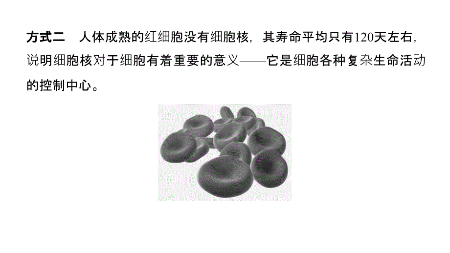 生物新学案同步必修一浙科课件：第二章 细胞的结构 第四、五节 .pptx_第4页