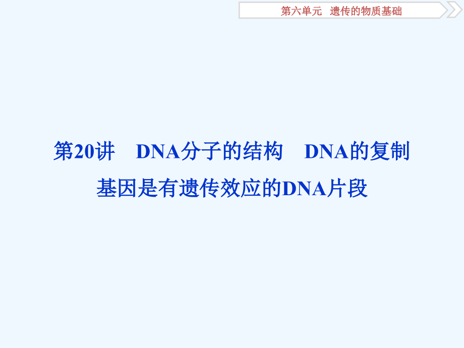 高中生物一轮复习方案课件：第6单元 2 第20讲DNA分子的结构　DNA的复制 .ppt_第1页