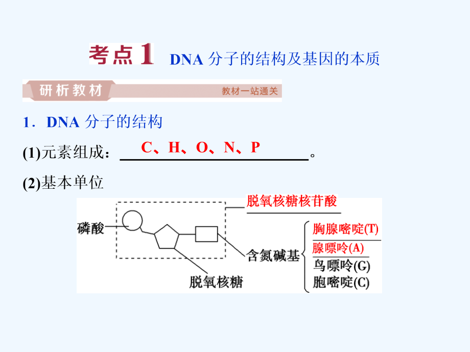 高中生物一轮复习方案课件：第6单元 2 第20讲DNA分子的结构　DNA的复制 .ppt_第3页