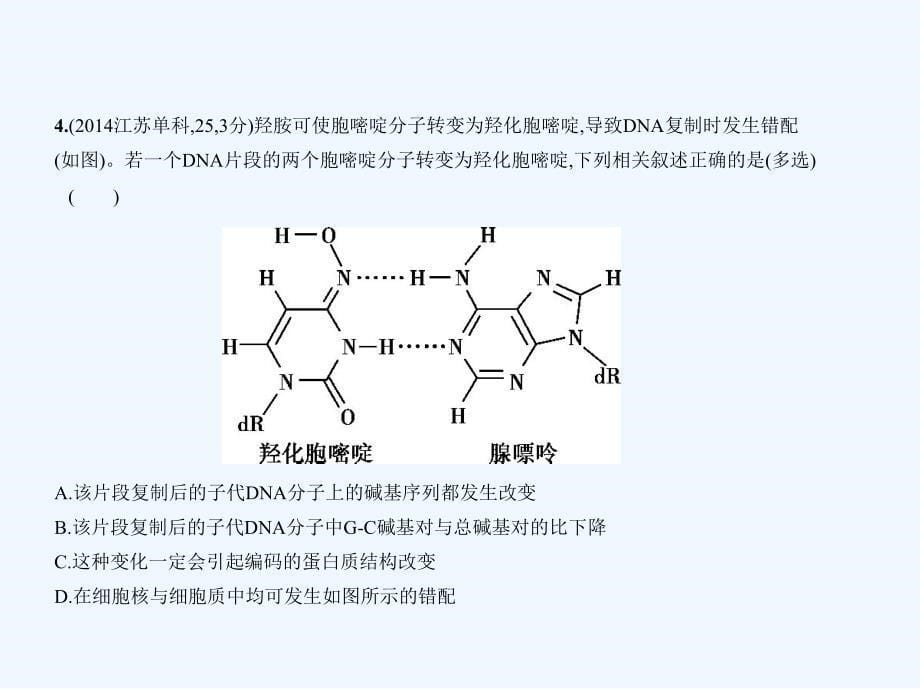 高考生物一轮复习（江苏专 B）课件：专题14　生物的变异与育种 .ppt_第5页