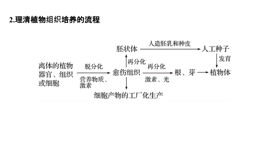 高考生物全国通用优编增分二轮课件：专题九 现代生物科技专题 考点2 .pptx_第3页