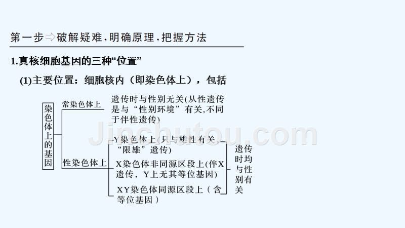 高考生物一轮复习中图课件：必修二 补上一课4 .ppt_第3页