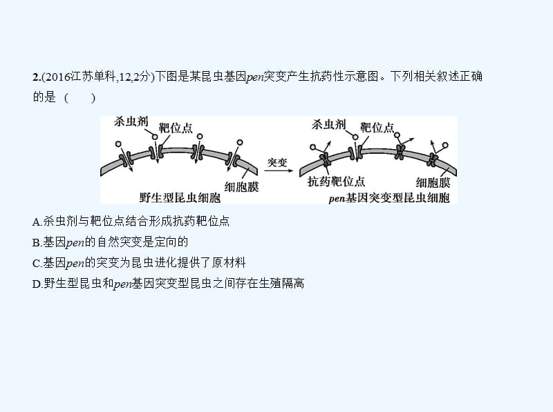 高考生物一轮复习（江苏专 B）课件：专题15　生物进化 .ppt_第3页