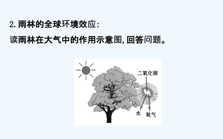 高考地理一轮复习课件：13.2森林的开发和保护——以亚马孙热带雨林为例 .ppt_第5页