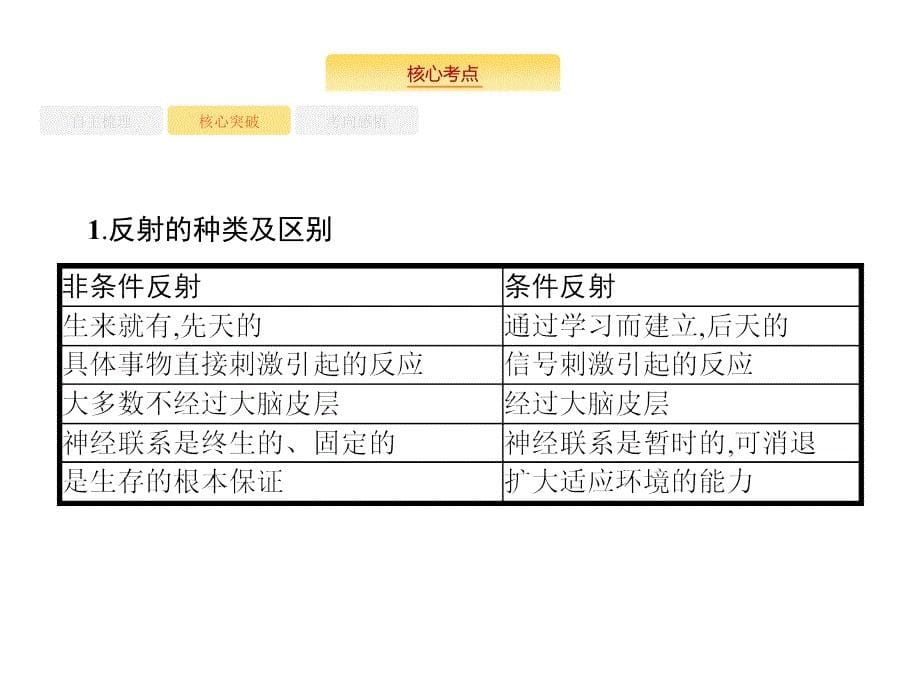 高考生物苏教一轮复习课件：10.2神经调节 .pptx_第5页