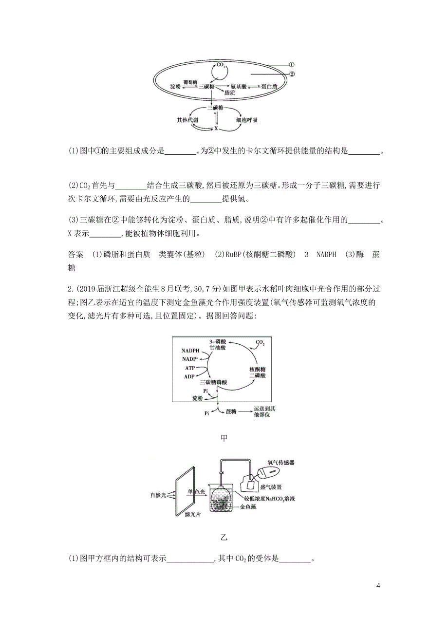 5年高考3年模拟A浙江省高考生物总复习专题6光合作用教师用书.docx_第4页